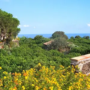 https://agriturismo-il-limoneto.sicilyhotelsitaly.net